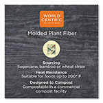 World Centric Fiber Containers, 8.7 x 6.5 x 2.1, Natural, Paper, 400/Carton view 2