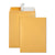 Quality Park™ Redi-Strip Catalog Envelope, #10 1/2, Cheese Blade Flap, Redi-Strip Closure, 9 x 12, Brown Kraft, 100/Box (QUA44562)