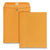 Quality Park™ Clasp Envelope, #97, Cheese Blade Flap, Clasp/Gummed Closure, 10 x 13, Brown Kraft, 250/Carton (QUA37597)