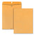 Quality Park™ Clasp Envelope, #15 1/2, Cheese Blade Flap, Clasp/Gummed Closure, 12 x 15.5, Brown Kraft, 100/Box (QUA37810)