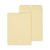 Universal® Kraft Clasp Envelope, #10 1/2, Square Flap, Clasp/Gummed Closure, 9 x 12, Brown Kraft, 100/Box (UNV41907)