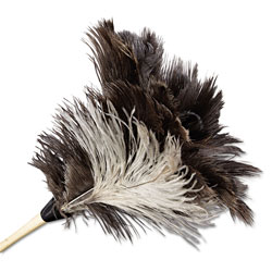 Boardwalk Professional Ostrich Feather Duster, 7" Handle
