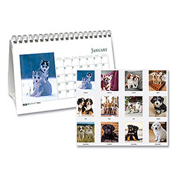 House Of Doolittle Earthscapes Recycled Desk Tent Monthly Calendar, Puppies Photography, 8.5 x 4.5, White Sheets, 12-Month (Jan to Dec): 2024
