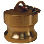 dixon-valve-2-brass-global-dust-plug-num-238-g200-dp-br
