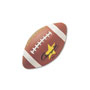 Champion Rubber Sports Ball, For Football, Intermediate Size, Brown