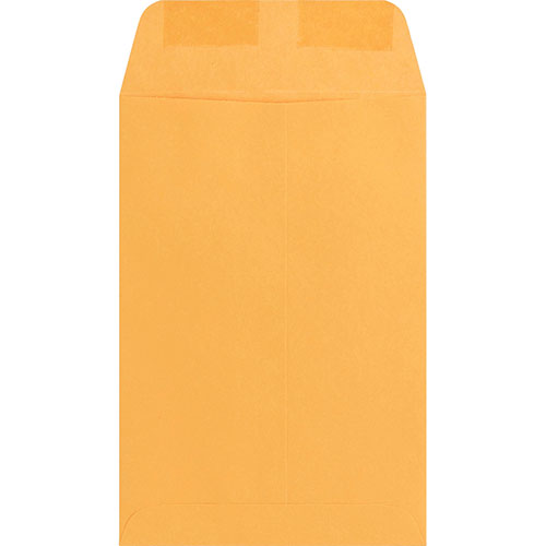 Business Source Catalog Envelopes, 20 lb., 6" x 9", Kraft