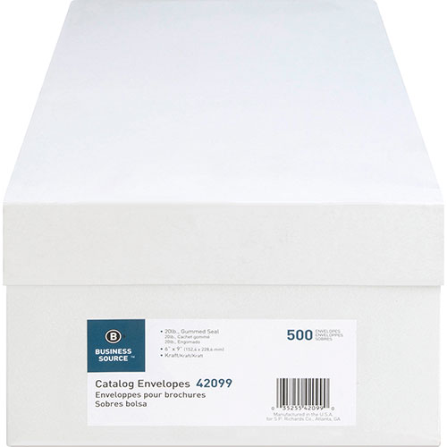 Business Source Catalog Envelopes, 20 lb., 6" x 9", Kraft
