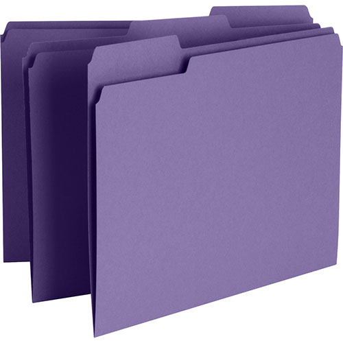 Business Source Color File Folder, 1/3 Cut, 100/BX, Purple