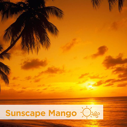 ActiveAire Deodorizer Urinal Screen, Sunscape Mango, 12 Screens Per Case