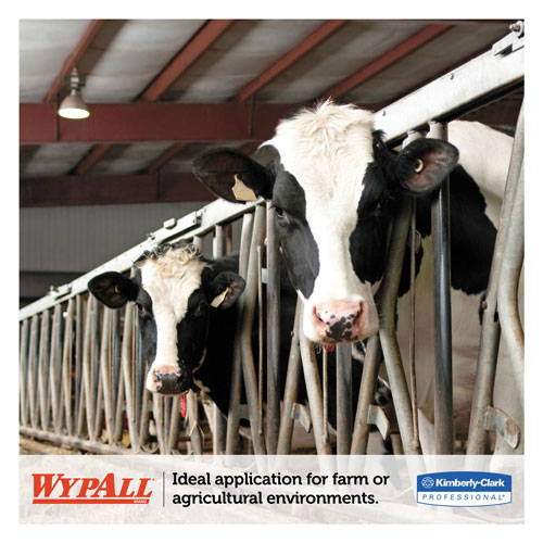 WypAll® L10 SANI-PREP Dairy Towels, Banded, 1-Ply, 10 1/2 x 9 3/10, 200/Pk, 12 Pk/Carton
