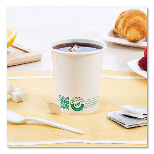 Solo Compostable Paper Hot Cups, ProPlanet Seal, 10 oz, White/Green, 1,000/Carton