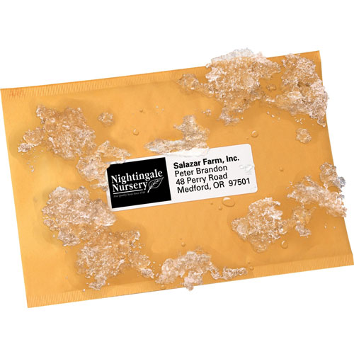 Avery WeatherProof Mailing Labels with TrueBlock Technology, 1-1/2" x 4", 7,000/BX, White