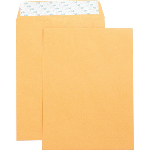 Business Source Catalog Envelopes, Self Seal, Plain, 9" x 12", 250/Box, Kraft