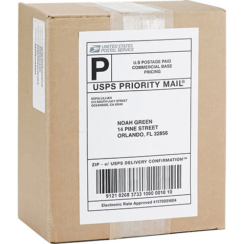 Business Source Mailing Laser Labels, Perm Adhesive, 5-1/2" x 8-1/2", White