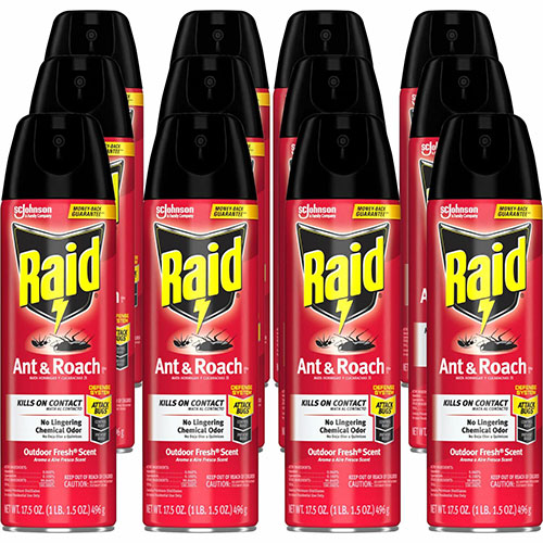 Raid Ant & Roach Killer Spray, 12/Carton