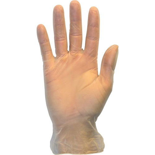 The Safety Zone Powder Free Clear Vinyl Gloves - Large Size - Clear - 1000 / Carton - 9.25" Glove Length
