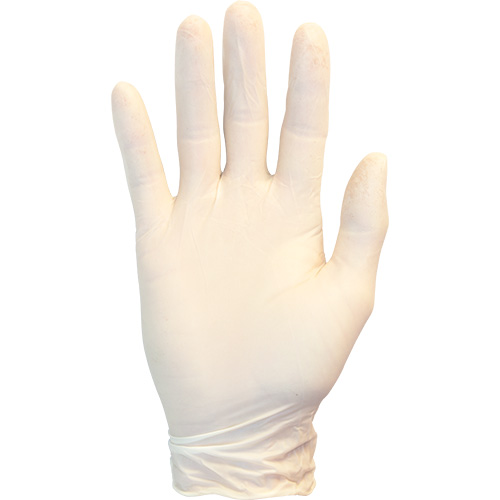 The Safety Zone Powder Free Latex Rolled Cuff Gloves, Small