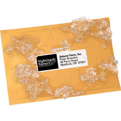 Avery WeatherProof Mailing Labels with TrueBlock Technology, 1-1/2 in x 4 in, 7,000/BX, White