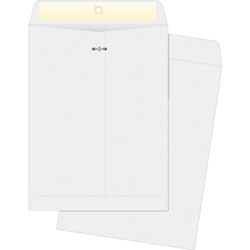 Business Source Clasp Envelopes, 9 in x 12 in, 100/BX, White