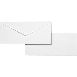 Business Source Business Envelopes, No.10, 24lb., Regular, 500/BX, WE/WV