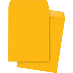 Business Source Catalog Envelopes, 20Lb., 9" x 12", 2Kraft