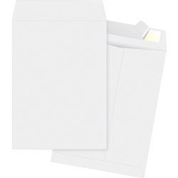 Business Source Open-End Envelopes, Plain, 9" x 12", White