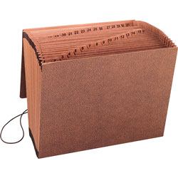 Business Source Accordion File,w/Flap,1-31,31 Pocket,Letter,12 inx10 in,Brown