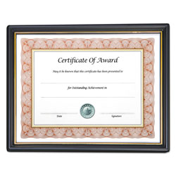 Nudell Plastics Framed Achievement/Appreciation Awards, Two Designs, Letter (NUD19210)
