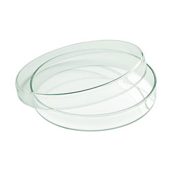 Bauscher Hepp Playground Mini Glass Bowl with Lid, 7.1 in