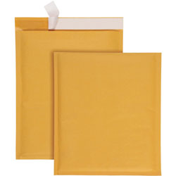 Quality Park Bubble Mailer, with Malling Labels, 9"x12", 10/BX, Kft