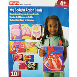 Roylco Body Systems Animation Cards, 8-1/2 inWx11 inH, 10/PK, Assorted