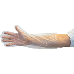 The Safety Zone Poly Disposable Gloves, Large