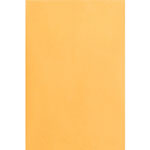 Business Source Catalog Envelopes, 20 lb., 6" x 9", Kraft view 2