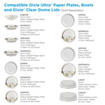 Dixie Pathways Soak Proof Shield Heavyweight Paper Plates, WiseSize, 10 1/8