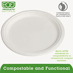 Eco-Products Renewable & Compostable Sugarcane Plates - 10