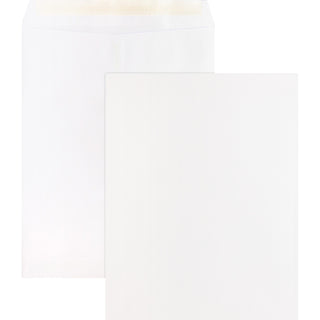 Business Source Catalog Envelopes, Removable Strip, 10&quot; x 13&quot;, White (BSN65451)
