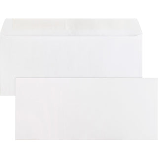Business Source Peel/Seal Envelope, Reg, Plain, No. 10, 4-1/2" x 9-1/2", 500/BX, WE (BSN04646)
