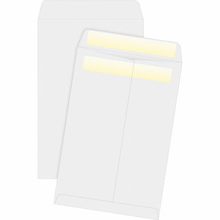 Business Source Press/Seal Cat Envelope, Plain, 28lb., 6" x 9", 100/BX, White (BSN04647)
