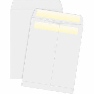Business Source Press/Seal Cat Envelope, Plain, 28lb., 10" x 13", 100/BX, White (BSN04649)