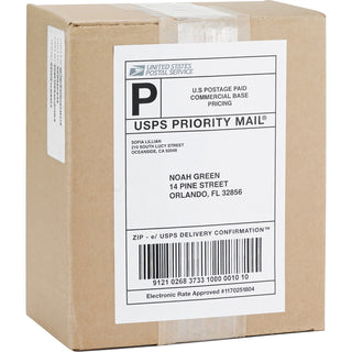 Business Source Mailing Laser Labels, Perm Adhesive, 5-1/2" x 8-1/2", White (BSN26161)