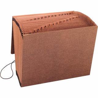 Business Source Accordion File,w/Flap,1-31,31 Pocket,Letter,12"x10",Brown (BSN23681)