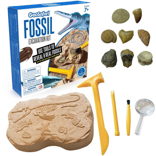 GeoSafari Fossil Excavation Kit - Theme/Subject: Fun - Skill Learning: Paleontology, STEM, Fossil - 7-12 Year (EII5340)