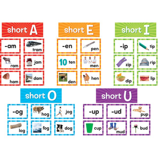 Teacher Created Resources Short Vowels Pocket Chart Cards - Skill Learning: Short Vowels - 205 Pieces (TCR20850)
