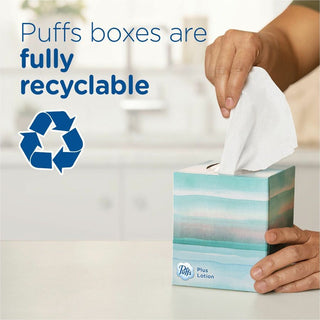 Puffs Basic Facial Tissue, Green, 124/Box (PGC39346BX)