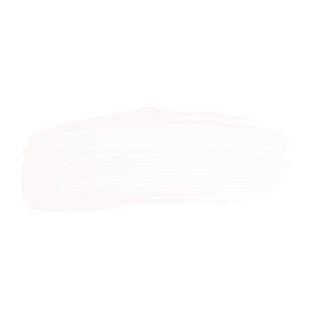 Crayola® Washable Paint, White, 1 gal (CYO542128053)