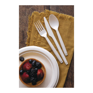 Eco-Products® Cutlery for Cutlerease Dispensing System, Spoon, 6", White, 960/Carton (ECOEPCE6SPWHT)