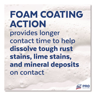 Professional LYSOL® Brand Disinfectant Foam Cleaner, 24oz Aerosol, 12/Carton (RAC02775CT)