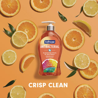 Softsoap® Antibacterial Hand Soap, Crisp Clean, 11 1/4 oz Pump Bottle, 6/Carton (CPC44571)