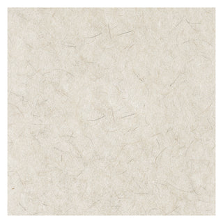 Boardwalk® Natural Burnishing Floor Pads, 24" Diameter, White, 5/Carton (PAD4024NAT)