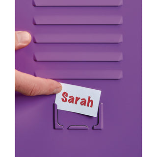 AdirOffice Steel Storage Locker, 1 Compartment, 15 x 15 x 48, Purple (ALHI62901PUR)